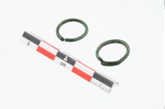 Foto von Bronzering (NHMW-PRAE-025782)